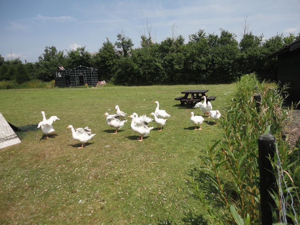 Willow Court Farm The Lodge & Petting Farm, 8 Mins From Legoland & Windsor, 15 Mins From Lapland Uk Eksteriør bilde