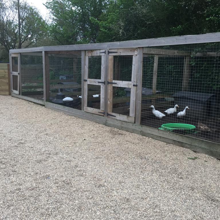 Willow Court Farm The Lodge & Petting Farm, 8 Mins From Legoland & Windsor, 15 Mins From Lapland Uk Eksteriør bilde