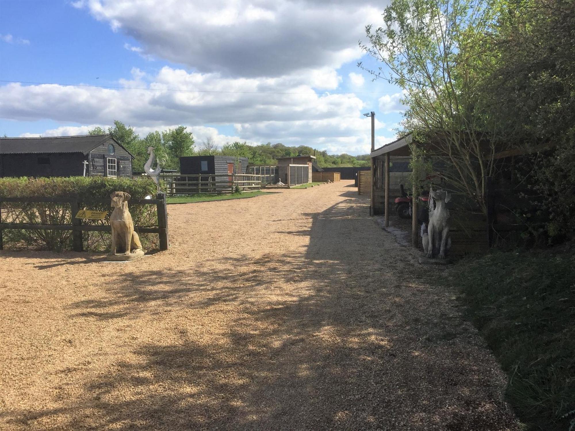 Willow Court Farm The Lodge & Petting Farm, 8 Mins From Legoland & Windsor, 15 Mins From Lapland Uk Eksteriør bilde