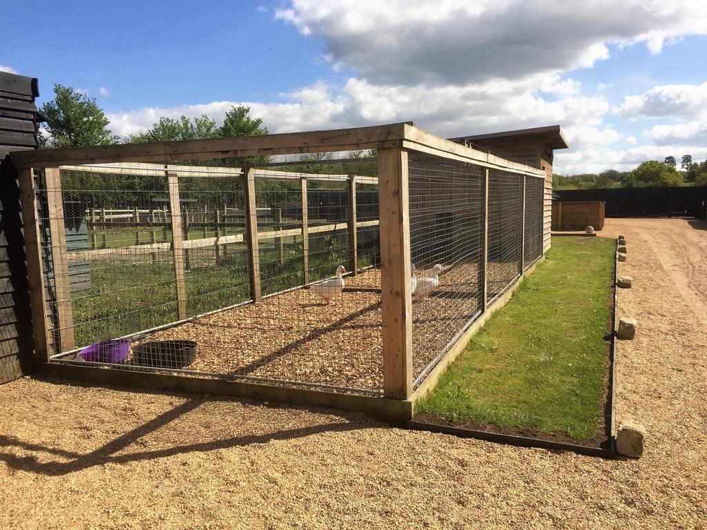 Willow Court Farm The Lodge & Petting Farm, 8 Mins From Legoland & Windsor, 15 Mins From Lapland Uk Eksteriør bilde