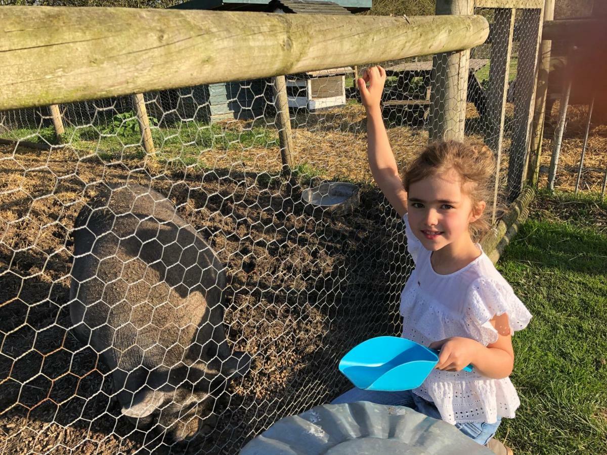 Willow Court Farm The Lodge & Petting Farm, 8 Mins From Legoland & Windsor, 15 Mins From Lapland Uk Eksteriør bilde