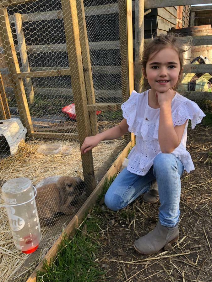 Willow Court Farm The Lodge & Petting Farm, 8 Mins From Legoland & Windsor, 15 Mins From Lapland Uk Eksteriør bilde
