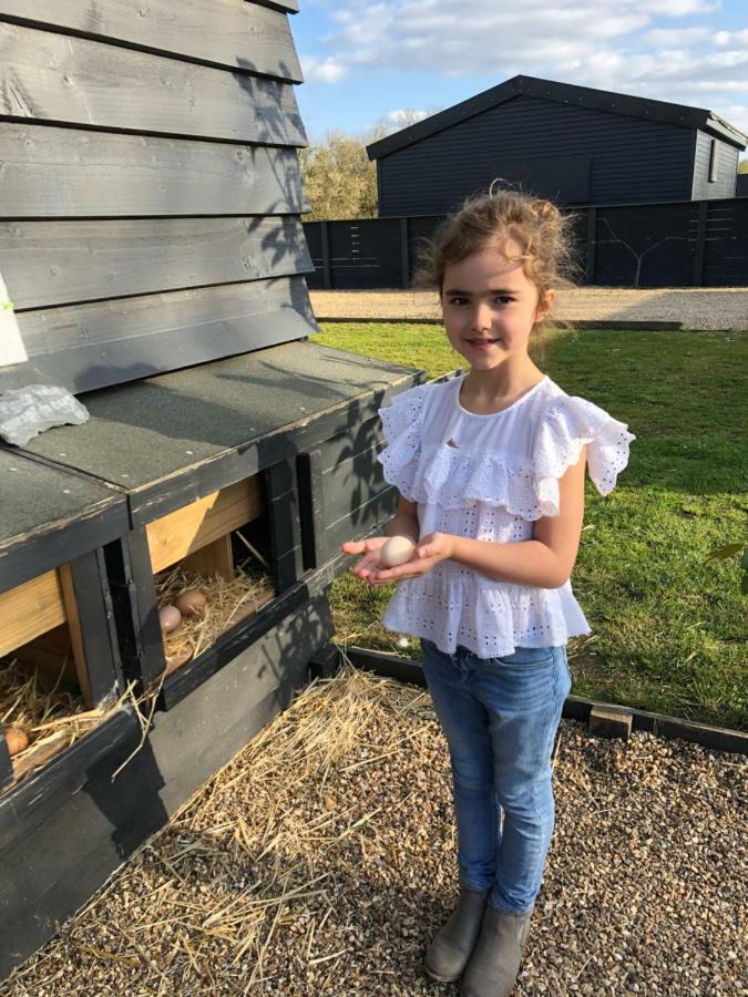 Willow Court Farm The Lodge & Petting Farm, 8 Mins From Legoland & Windsor, 15 Mins From Lapland Uk Eksteriør bilde