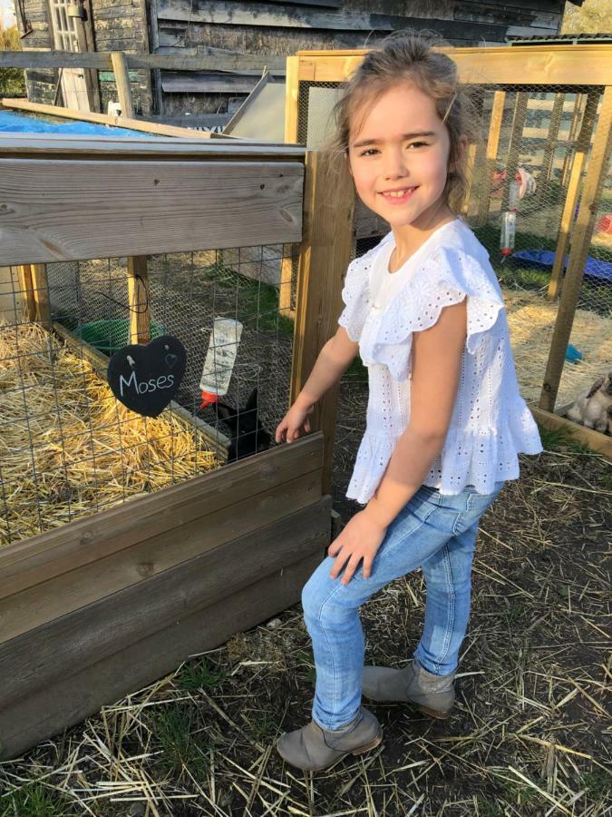 Willow Court Farm The Lodge & Petting Farm, 8 Mins From Legoland & Windsor, 15 Mins From Lapland Uk Eksteriør bilde