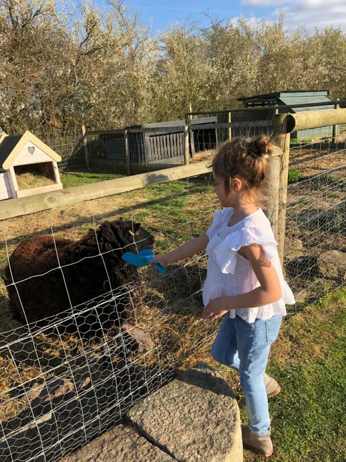 Willow Court Farm The Lodge & Petting Farm, 8 Mins From Legoland & Windsor, 15 Mins From Lapland Uk Eksteriør bilde