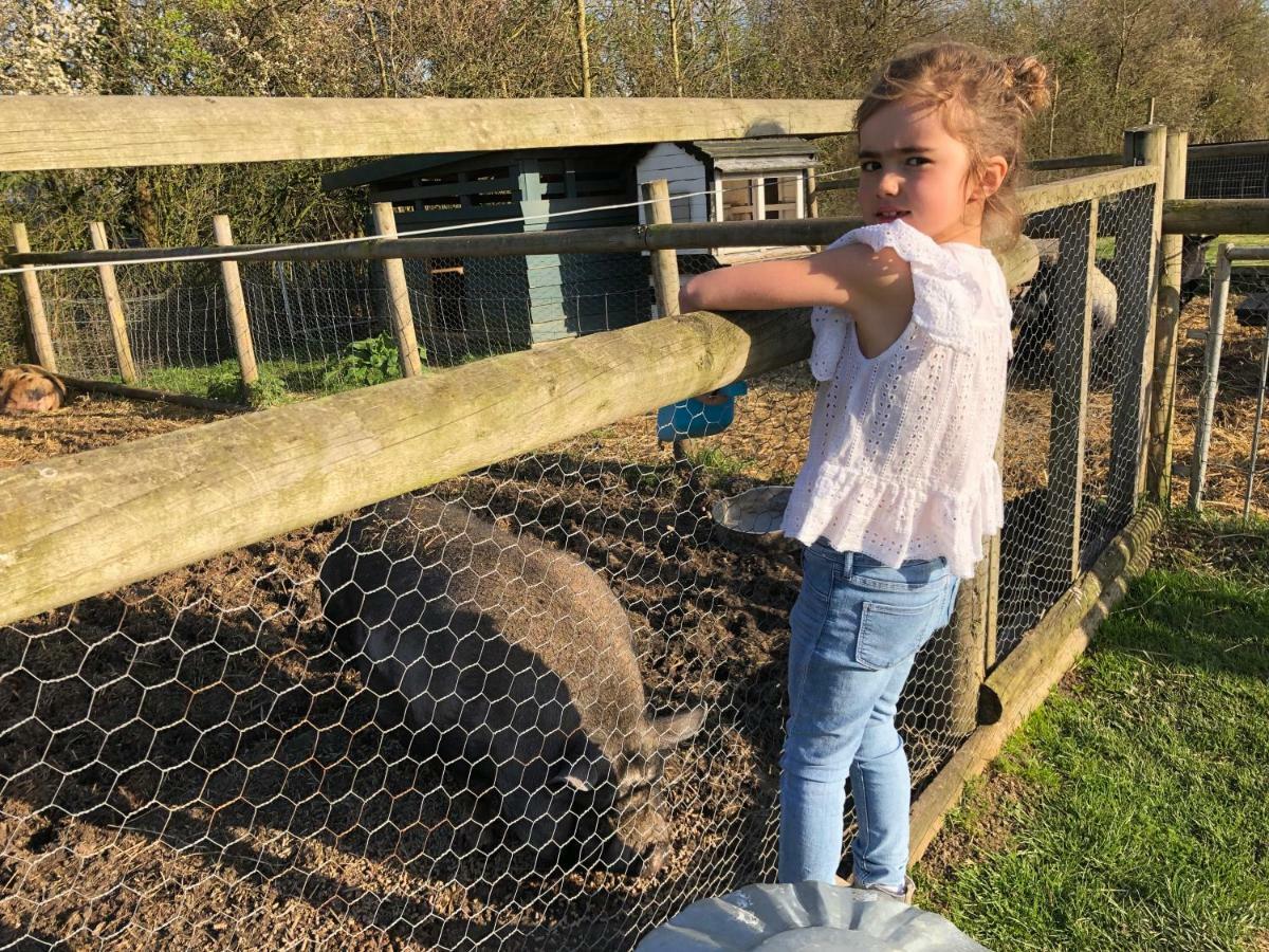 Willow Court Farm The Lodge & Petting Farm, 8 Mins From Legoland & Windsor, 15 Mins From Lapland Uk Eksteriør bilde