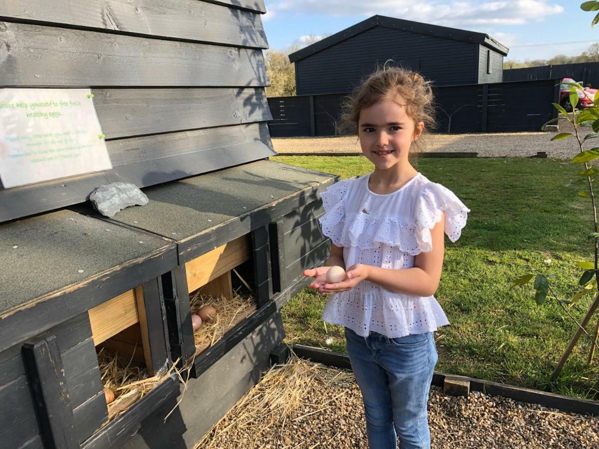Willow Court Farm The Lodge & Petting Farm, 8 Mins From Legoland & Windsor, 15 Mins From Lapland Uk Eksteriør bilde